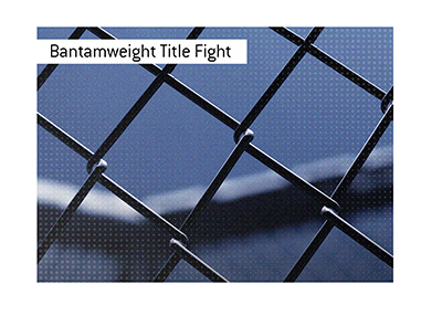 There is a UFC title fight coming up in the bantamweight division. Bet on it!