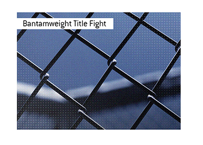 There is a UFC title fight coming up in the bantamweight division.  Bet on it!