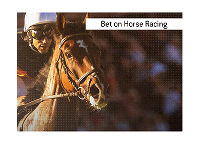 Best bet on the grand nationals Best bet on the grand nationals