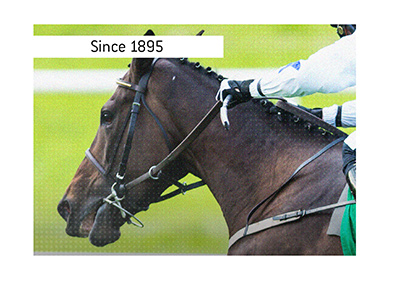 Australian horse race - Chelmsford Stakes - has been taking place annualy since 1895.