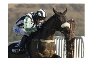 The action shot from the famous Cheltenham Festival.  Horse jumping over the fence.