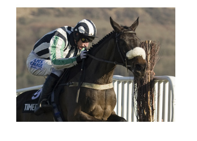 The action shot from the famous Cheltenham Festival. Horse jumping over the fence.