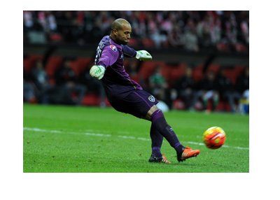 Republic of Ireland goalie - Darren Randolph - In action.  World Cup Qualifiers - 2017.