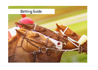 The Kings horse betting guide.  Difference between two popular bets.