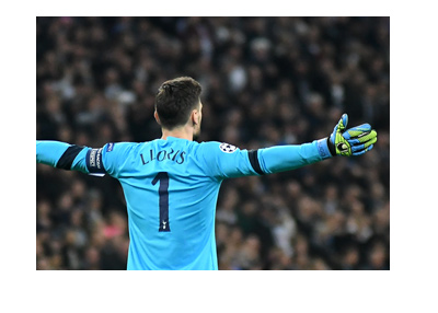 Hugo Lloris with arms spread out in celebration.  Wearing light blue kit.