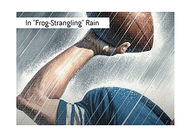 In frog strangling rain records were broken on a football pitch in 1969.