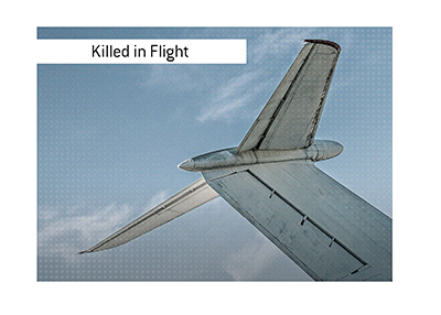 The story of how a baseball star player was killed on an airplane, while trying to hijack it.