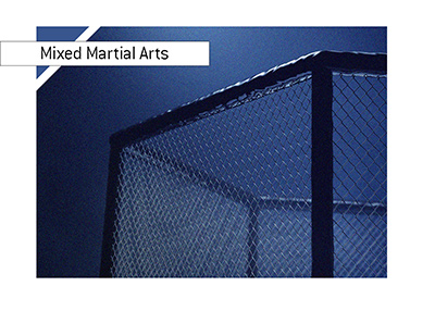 The MMA cage lit up in reflector lights.  The background is blue.  The fight is on.