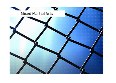 Mixed Martial Arts - The octagon mesh wire with spotlights in the background.