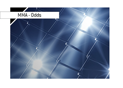 Mixed Martial Arts - MMA - Odds of winning - Photo of cage mesh from close up.  Lights on.  Bet on it!