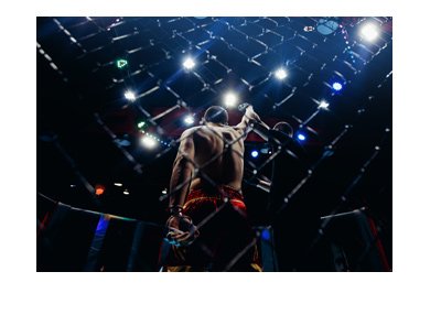 The MMA fighter - Ref holding the hand up. Under the spot light. Winner. Mixed Martial Arts.