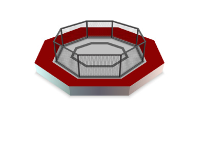 The MMA octagon - Illustration - Red is the dominant colour.