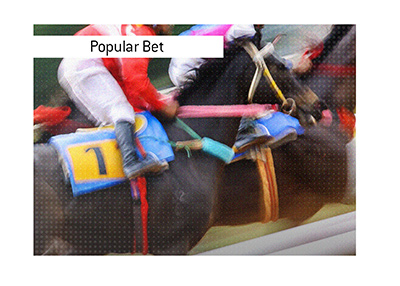 Each Way is a popular bet at a racehorse track.  Illustration - In the race is on.