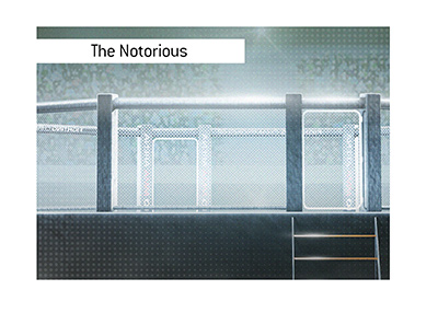 What could be n next for Conor McGregor aka The Notorious?