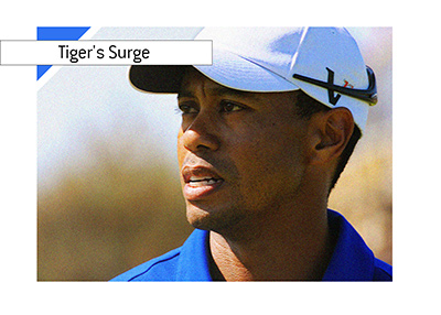 Tiger Woods is back. What will year 2019 bring for the star golf player?