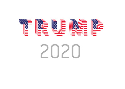 What are the odds of Donald Trump winning again in 2020. United States politics.