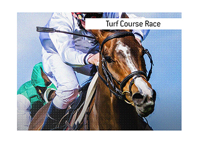 Bet on one of the biggest turf races this holiday season. If you do it, be prudent and stay within the budget. Good luck!