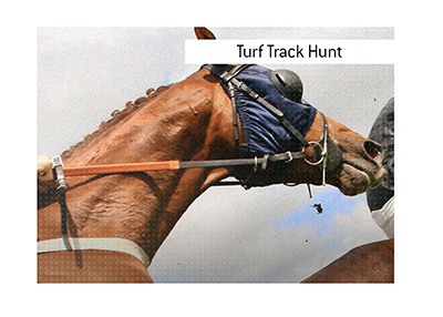 A popular turf track hunt horserace takes place annually in December in the Republic of Ireland. If you bet on it, do so with financial prudence.