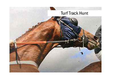 A popular turf track hunt horserace takes place annually in December in the Republic of Ireland.  If you bet on it, do so with financial prudence.