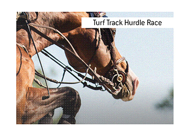 The Marsh Hurdle is a turf track hurdle race open to all horses four years or older.