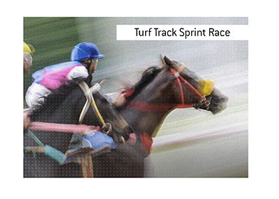 Railway Stakes is a turf track sprint race. Bet on it, but use caution and stick to your budget.