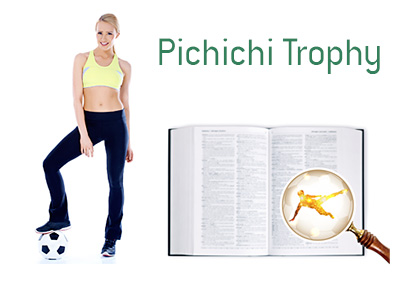 Definition and Meaning of Pichichi Trophy - Football Game Dictionary