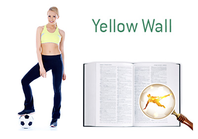 Definition and Meaning of Yellow Wall - Football Game Dictionary