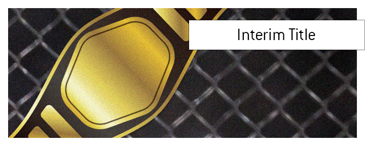 The meaning of the term interim title when it comes to the sports of MMA (mixed martial arts).