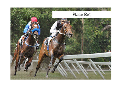 The King explains the meaning of Place Bet.  In photo:  The race is on.  Two horses are in a close contest, ahead of the rest.