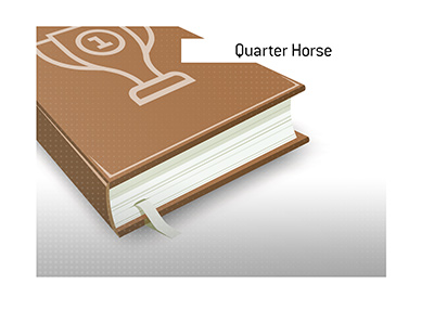 What is the meaning of the term American Quarter Horse - The King explains.