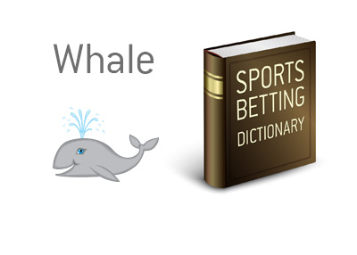The meaning of the term Whale in sports and betting.  Who is he/she and why the name?