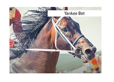 The meaning of the popular term Yankee Bet is explained in this article.  A horse photographed in the middle of a tense race is in photo.