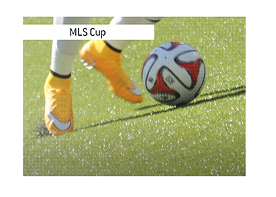 The MLS Cup is the premier soccer / football club tournament in the USA and Canada.