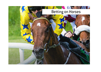 Bet on horse races.  It is one of the most exhilarating sports to place wagers on.  The Sport of Kings, some call it.