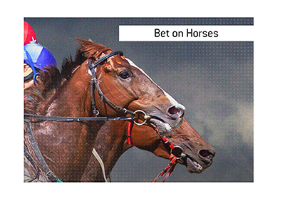 Bet on horses today. A Guineas Stakes race is one of the more popular races in the circuit.