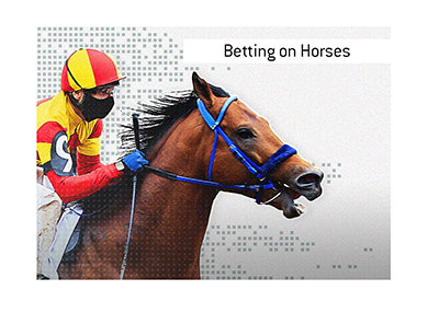 The King goes over the basics of the activity of betting on horse racing. How to do it and where the best place to do it online is. Enjoy, and play safe!