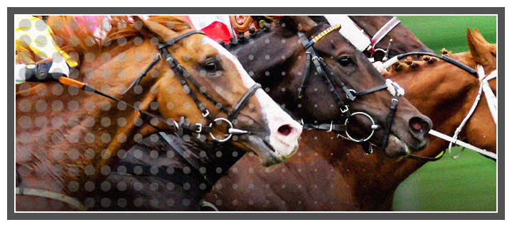 Watching a close race live is a wonderful time. Placing a bet on your favourite horse takes the experience to a whole other level.