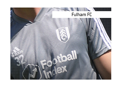 Bet on Fulham FC games - In photo:  Team goalie wearing the silver jersey with the white logo.