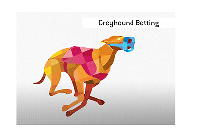 Placing bets on Greyhounds has a long history in the United Kingdom. Have you tried it?