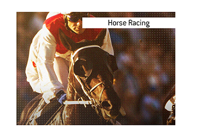 The King lays out the best way to place wagers on horses online. Where is the top place to go?