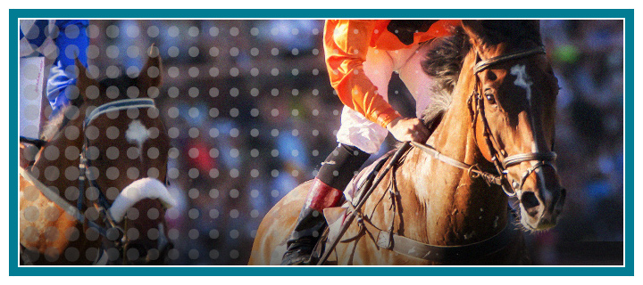 One of the annual horse races with the highest purse is taking place in Sha Tin Racecourse in Hong Kong every year. The Champions Mile Race, which is part of the Asian Mile Challenge.