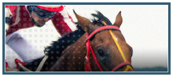 The rider and his horse are captured in the heat of a race. Bet on horse racing!