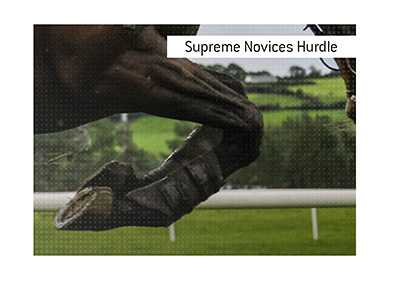 Betting on the Supreme Novices Hurdle.  Where is the best place and why?  The King explains.