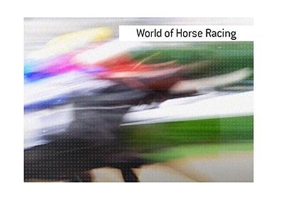 Placing wagers on horse races can be a very exciting activity. Of course, one has to be careful, calculated and ultimately play safe. The whole point of the activity is enjoyment. Potential profits are a nice bonus, of course.