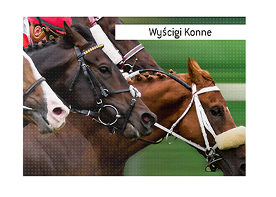 Wyscigi Konne