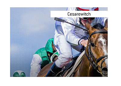 Cesarewitch betting odds and the best place to wager on the event online. The course. The trainers. Winning horses.