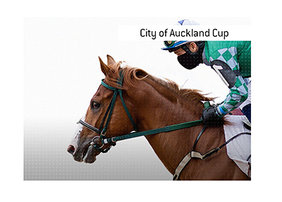 The King outlines everything one needs to know about betting on the Aukland Cup horse race.