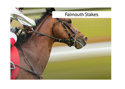 Where is the best place to bet on Falmouth Stakes horse race?  The King explains.