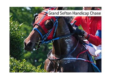 Early season race - The Grand Sefton Handicap Chase.  Bet on it!