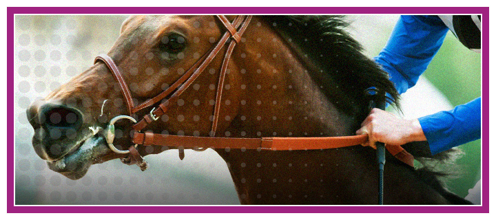 The annual race taking place in the United States of America. Horse pictured running the distance. Bet on it!